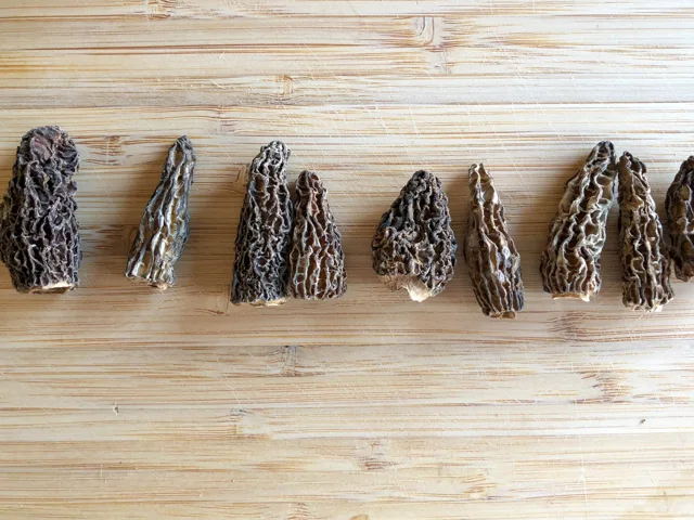 Ris de veau aux morilles