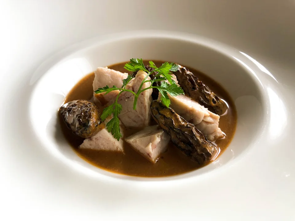 Sweetbreads in morel cream sauce.